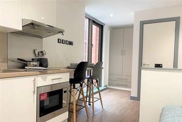 1 bed studio, Little Patrick Street, Holylands, Belfast, BT151BH - Image 11